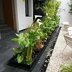 Atrium
