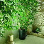 דירה Atrium *