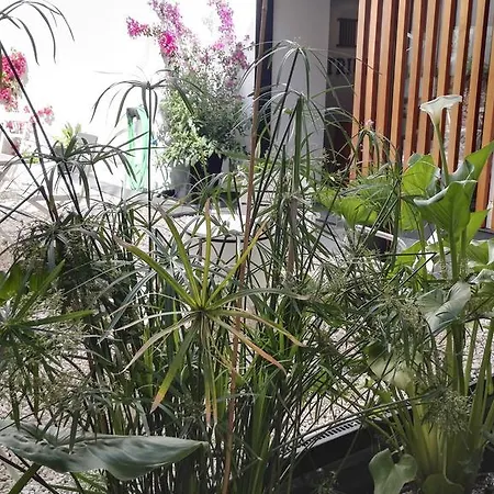 Appartement Atrium Cordoue
