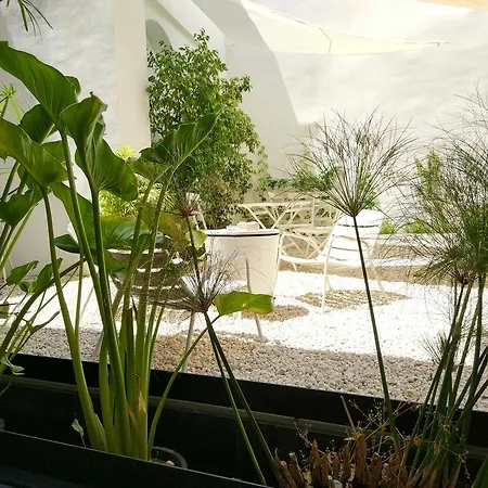 Atrium Lägenhet Córdoba