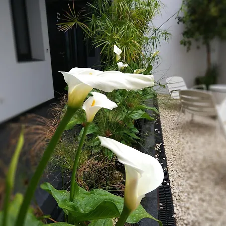 Atrium Appartement *