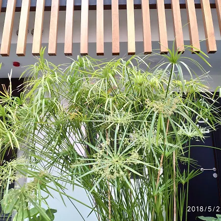 Apartamento Atrium *