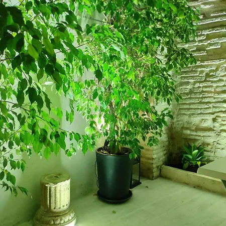 Apartamento Atrium *